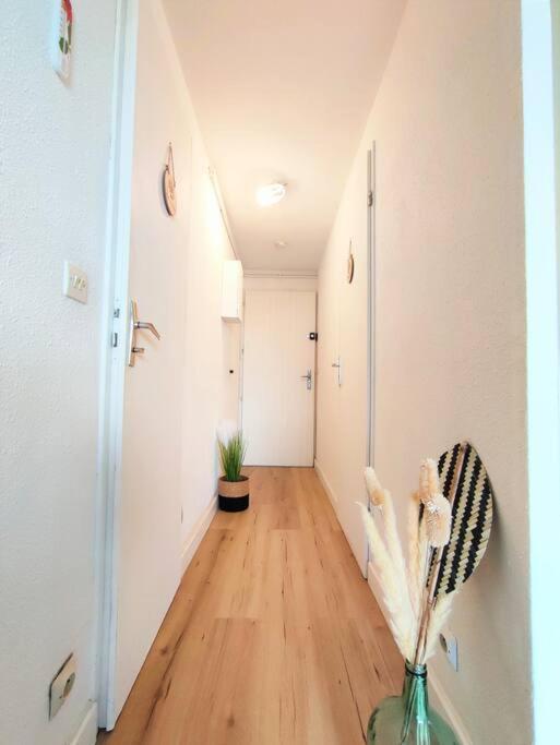 L'Escapade : Charmant T2 -Parking Gratuit, Piscine, Wifi, Clim Gruissan Extérieur photo