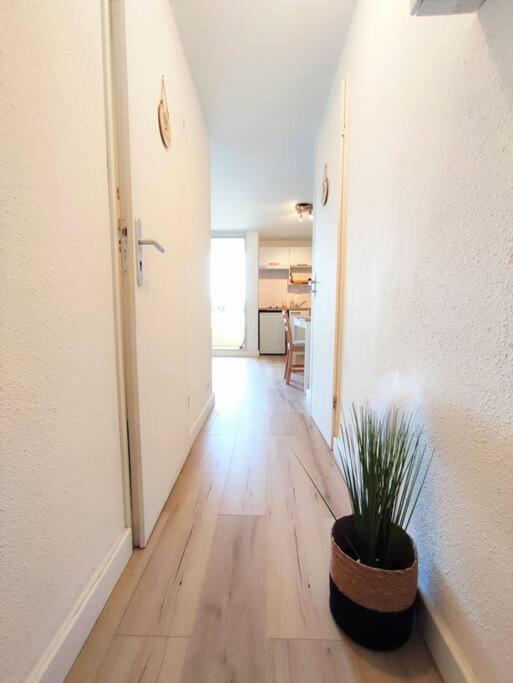 L'Escapade : Charmant T2 -Parking Gratuit, Piscine, Wifi, Clim Gruissan Extérieur photo